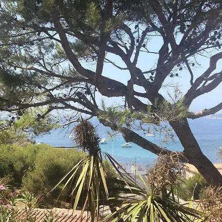 Maison Vue Mer Terrasse * サナリー・シュル・メール